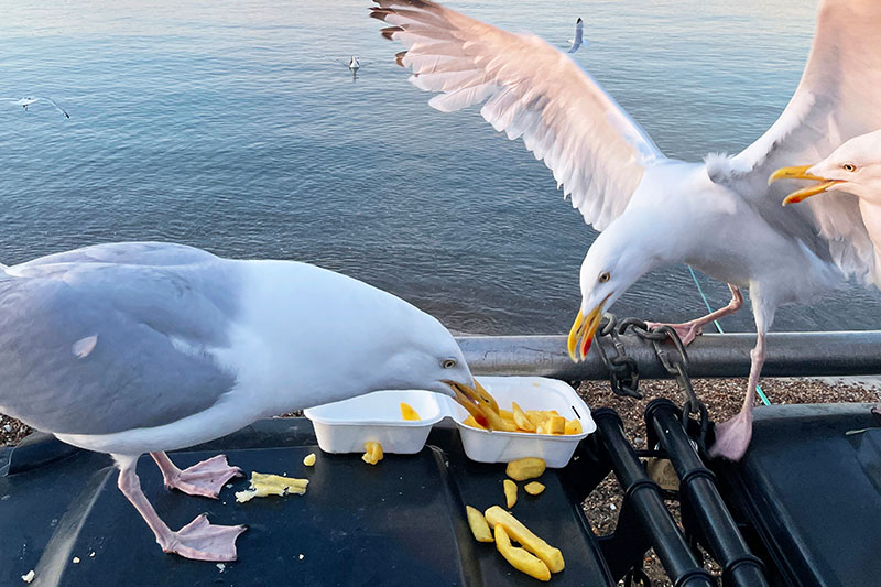 Erbauseinandersetzung