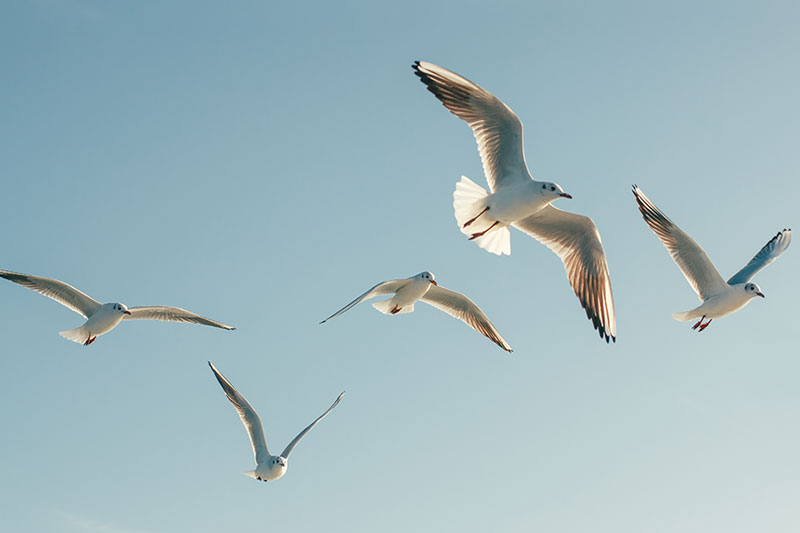 Unternehmensnachfolge